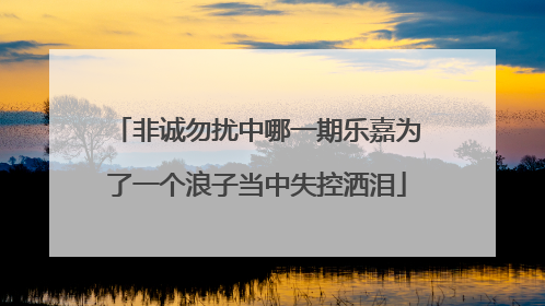 非诚勿扰中哪一期乐嘉为了一个浪子当中失控洒泪