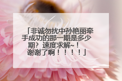 非诚勿扰中孙艳丽牵手成功的那一期是多少期? 速度求解~！ 谢谢了啊！！！！