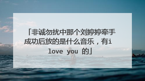 非诚勿扰中那个刘婷婷牵手成功后放的是什么音乐,有i love you 的