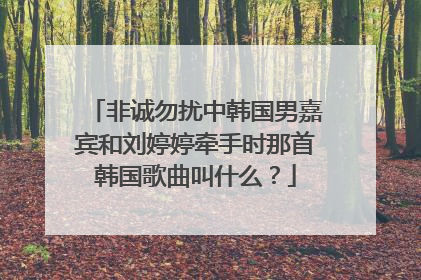 非诚勿扰中韩国男嘉宾和刘婷婷牵手时那首韩国歌曲叫什么？