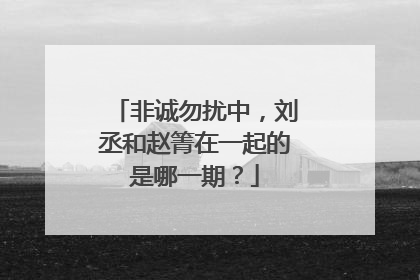 非诚勿扰中,刘丞和赵箐在一起的是哪一期?