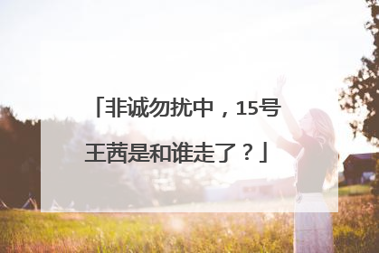 非诚勿扰中，15号王茜是和谁走了？