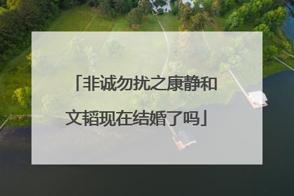 非诚勿扰之康静和文韬现在结婚了吗
