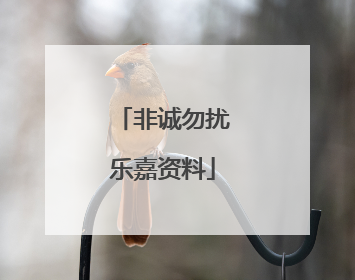 非诚勿扰乐嘉资料