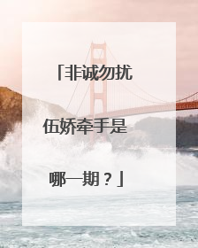 非诚勿扰伍娇牵手是哪一期?