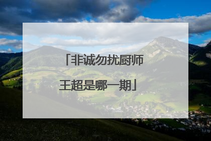 非诚勿扰厨师王超是哪一期