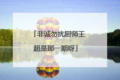 非诚勿扰厨师王超是那一期呀