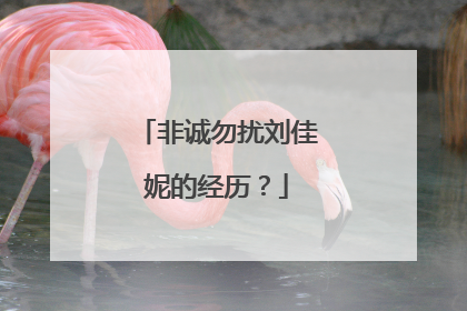 非诚勿扰刘佳妮的经历？