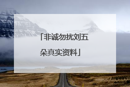 非诚勿扰刘五朵真实资料