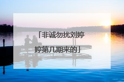 非诚勿扰刘婷婷第几期来的