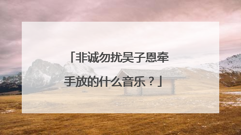 非诚勿扰吴子恩牵手放的什么音乐?