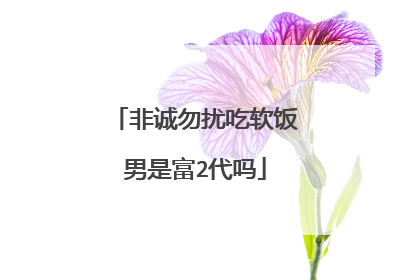 非诚勿扰吃软饭男是富2代吗