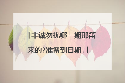 非诚勿扰哪一期那笛来的?准备到日期.