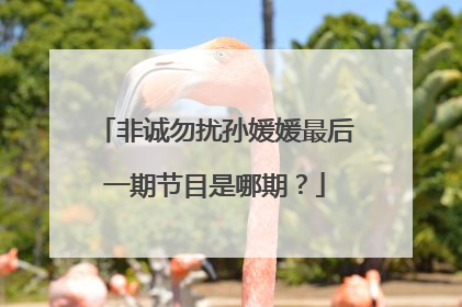 非诚勿扰孙媛媛最后一期节目是哪期?