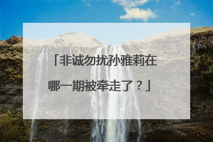 非诚勿扰孙雅莉在哪一期被牵走了？