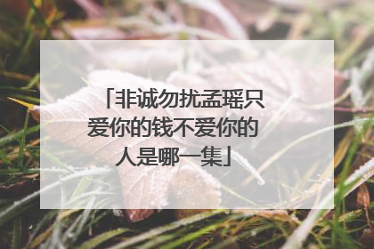 非诚勿扰孟瑶只爱你的钱不爱你的人是哪一集