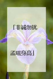 非诚勿扰孟瑶身高