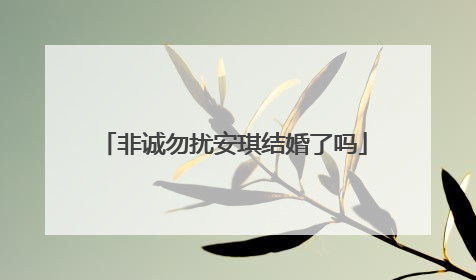 非诚勿扰安琪结婚了吗