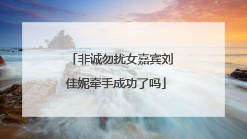 非诚勿扰女嘉宾刘佳妮牵手成功了吗