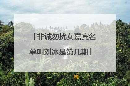 非诚勿扰女嘉宾名单叫刘冰是第几期