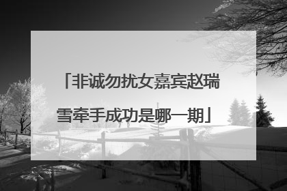 非诚勿扰女嘉宾赵瑞雪牵手成功是哪一期