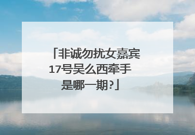 非诚勿扰女嘉宾17号吴么西牵手是哪一期?
