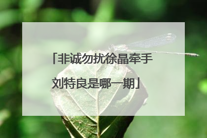 非诚勿扰徐晶牵手刘特良是哪一期