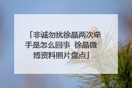 非诚勿扰徐晶两次牵手是怎么回事 徐晶微博资料照片盘点