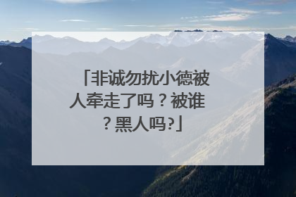 非诚勿扰小德被人牵走了吗？被谁？黑人吗?
