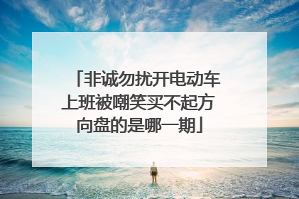非诚勿扰开电动车上班被嘲笑买不起方向盘的是哪一期