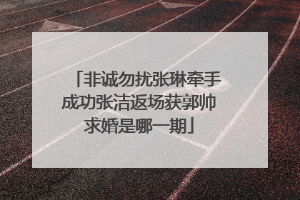 非诚勿扰张琳牵手成功张洁返场获郭帅求婚是哪一期