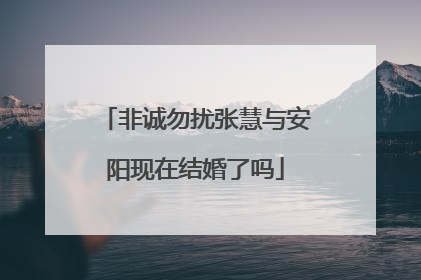 非诚勿扰张慧与安阳现在结婚了吗
