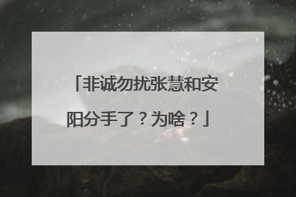 非诚勿扰张慧和安阳分手了?为啥?