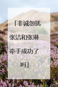 非诚勿扰张洁和张琳牵手成功了吗