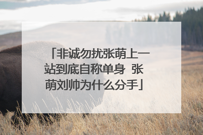 非诚勿扰张萌上一站到底自称单身 张萌刘帅为什么分手