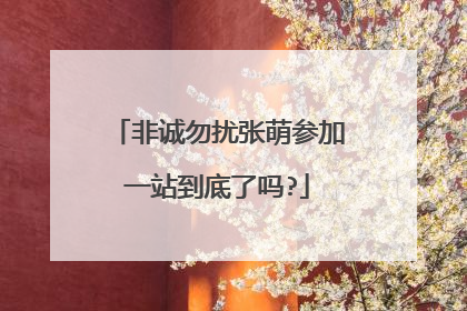 非诚勿扰张萌参加一站到底了吗?