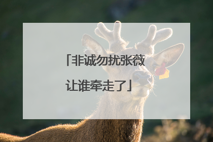 非诚勿扰张薇让谁牵走了