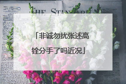 非诚勿扰张述高铨分手了吗近况