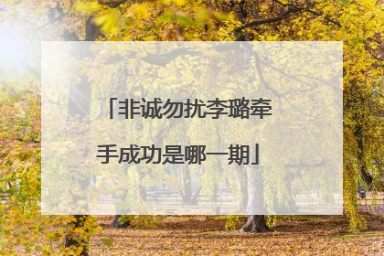 非诚勿扰李璐牵手成功是哪一期