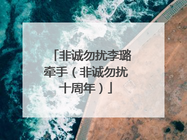 非诚勿扰李璐牵手(非诚勿扰十周年)