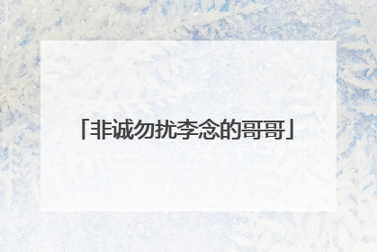 非诚勿扰李念的哥哥