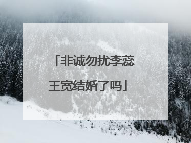 非诚勿扰李蕊王宽结婚了吗