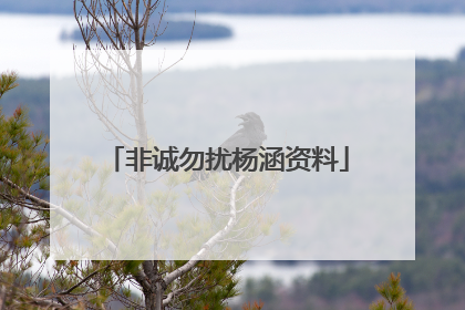 非诚勿扰杨涵资料