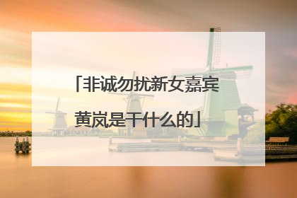 非诚勿扰新女嘉宾黄岚是干什么的