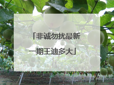 非诚勿扰最新一期王迪多大