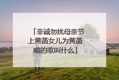非诚勿扰母亲节上黄菡女儿为黄菡唱的歌叫什么