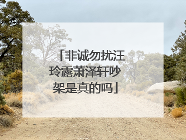 非诚勿扰汪玲露萧泽轩吵架是真的吗