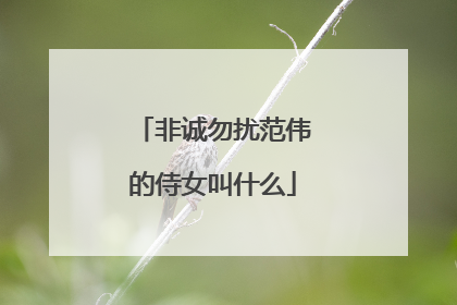 非诚勿扰范伟的侍女叫什么