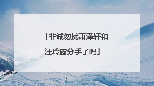 非诚勿扰萧泽轩和汪玲露分手了吗