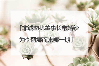 非诚勿扰董事长带婚纱为李丽娜而来哪一期